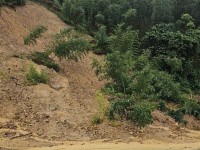 Những việc người dân cần làm và không được làm khi xảy ra lũ quét, sạt lở đất