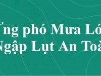 Biện pháp ứng phó trước, trong và sau mưa lớn, ngập lụt