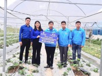 Đẩy mạnh thực hiện giải pháp cải thiện môi trường đầu tư kinh doanh, hỗ trợ thanh niên tham phát triển khoa học, công nghệ, đổi mới sáng tạo và chuyển đổi số