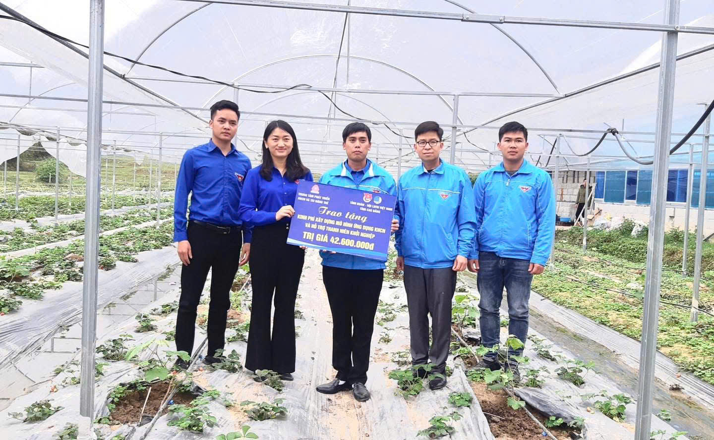 e0874bafb81e74874cf00afcb2e2510c