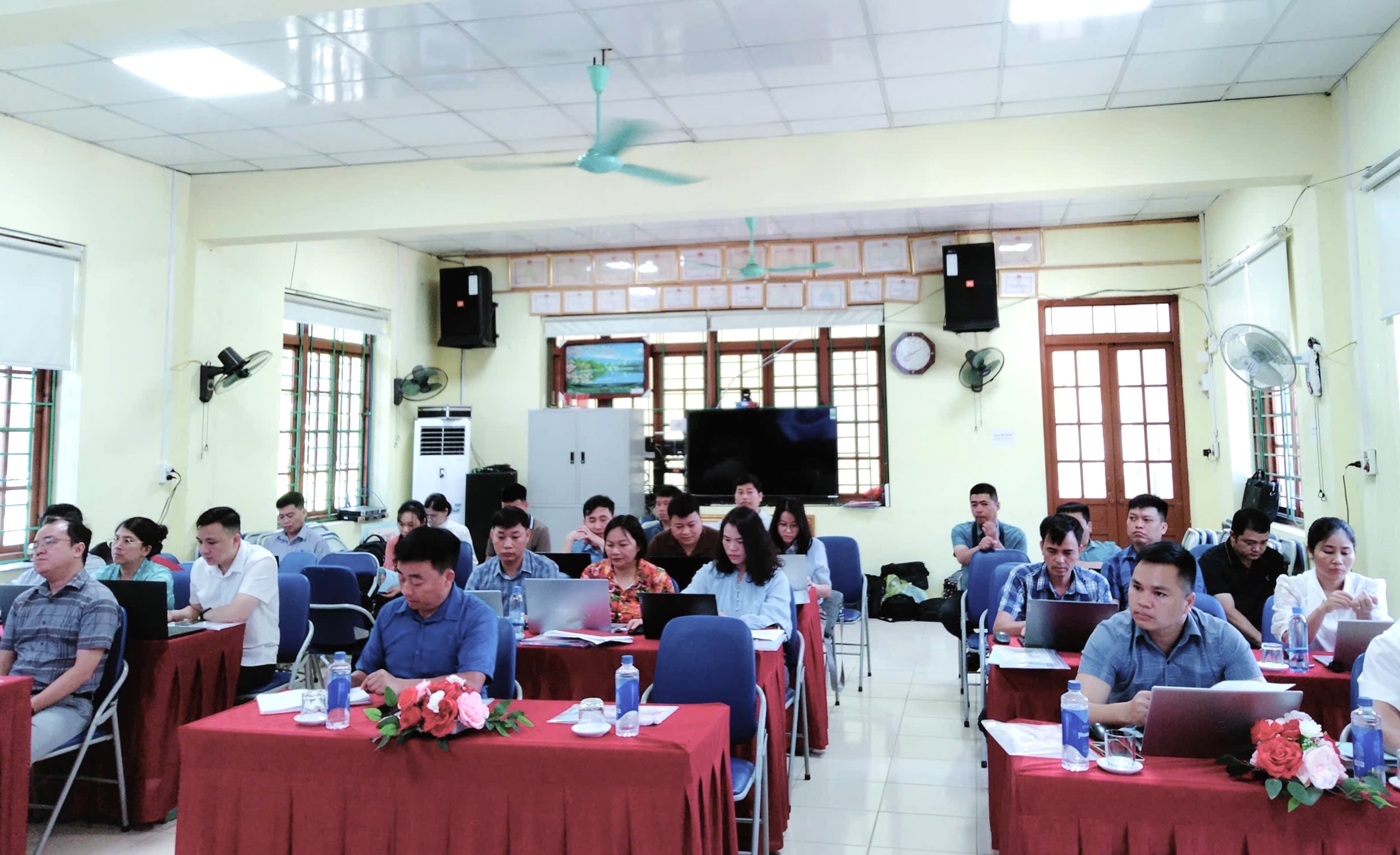Nam Quang (2)