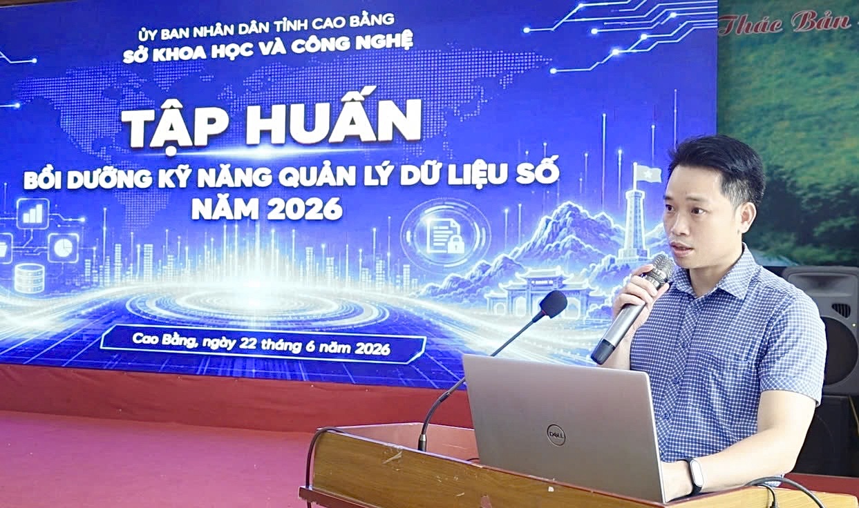 a Sơn